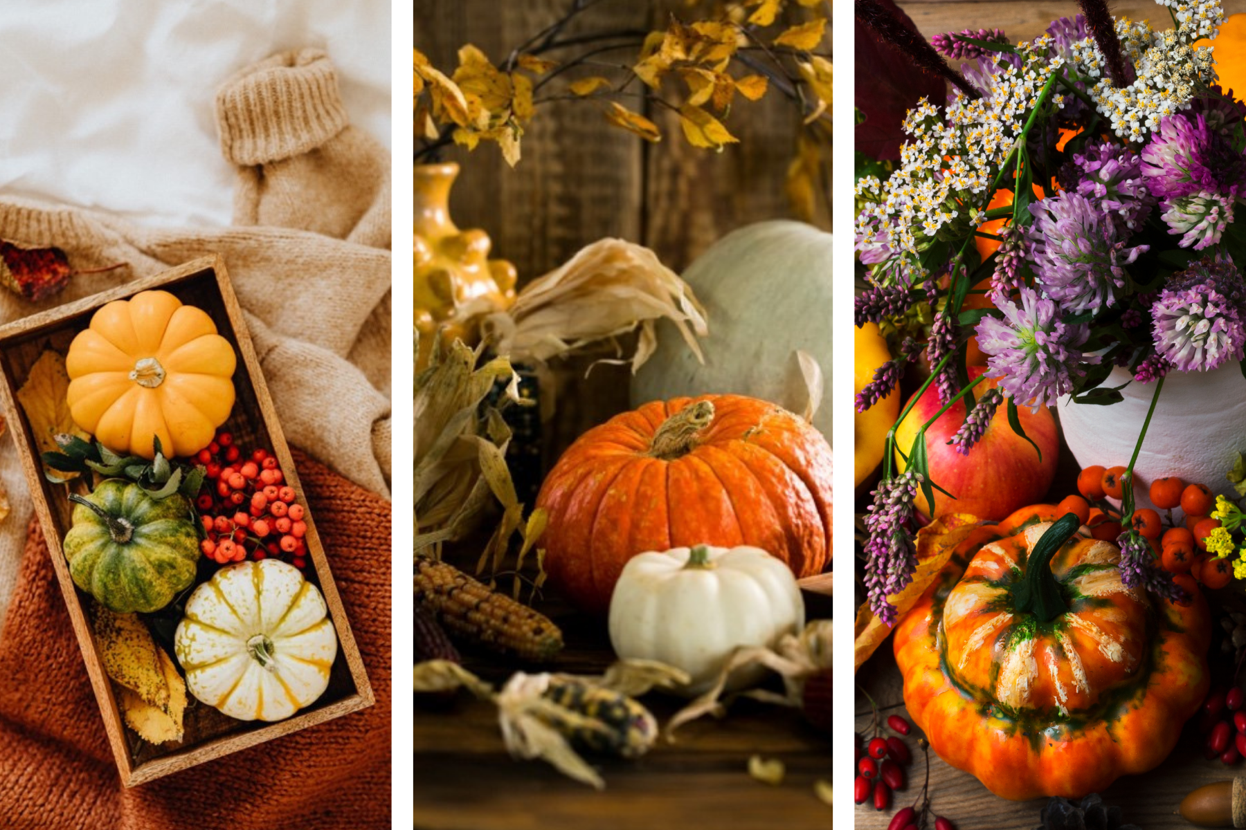 Five Easy Fall Decorating Tips